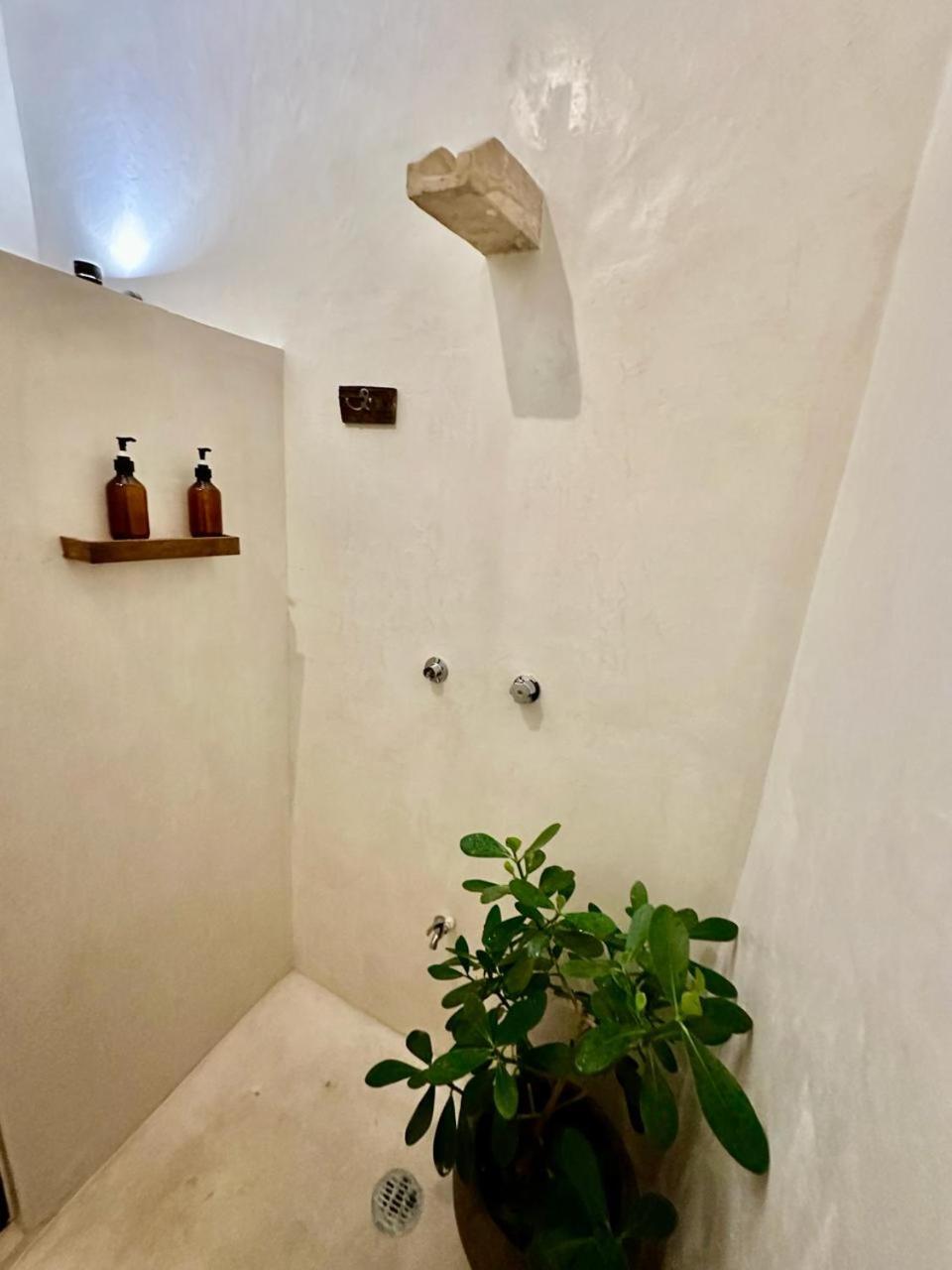 Casa Silice Guesthouse Вальядолід Екстер'єр фото